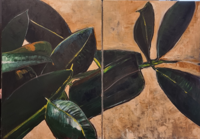 Caoutchouc 50x70x2